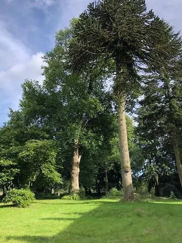Merveilleux Cottage Dans Parc De 7,5 Hectares Saint-Nicolas-du-Pelem